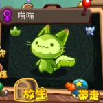 洛克王国喵喵,从萌宠到神宠的进化之旅