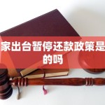 国家出台暂停还款政策是真的吗2025年6月14日
