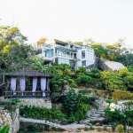 厦门万石植物园攻略,探秘植物王国，漫步自然画廊